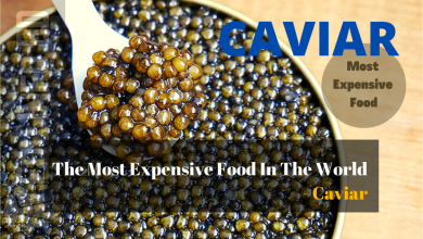 The Most Expensive Food In The World - Caviar