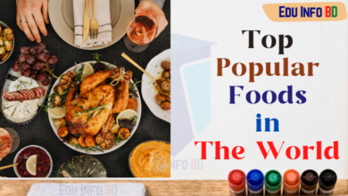 Top popular foods in the world