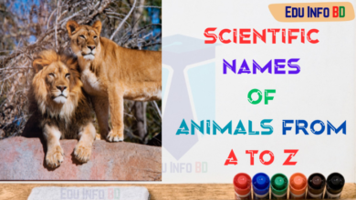 Scientific names of animals from A to Z